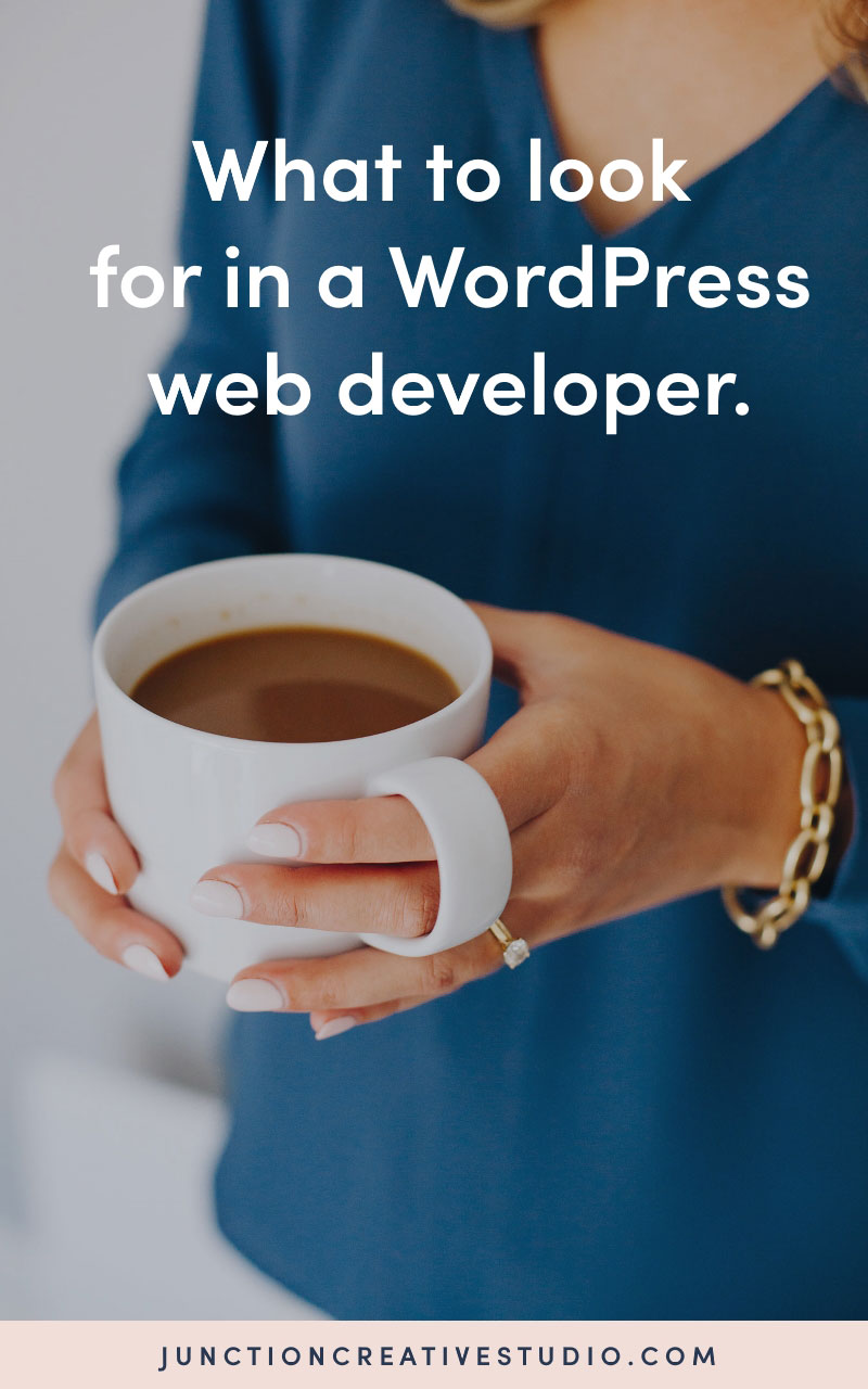 what-to-look-for-in-a-wordpress-web-developer